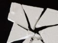 Tot 10 jaar geëist voor handel in ruim 2.000 kilo cocaïne