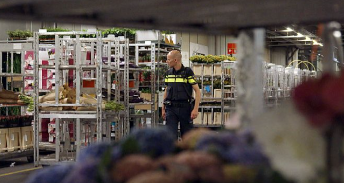 Politie: drugssmokkel tussen bloemen is serieus probleem (VIDEO)