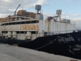Tweede vrachtschip met 4,5 ton cocaïne: tussen de koeien (VIDEO)