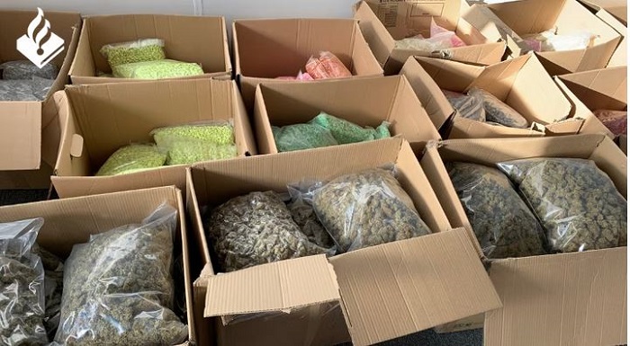Boxes full of ecstasy pills and cannabis buds intercepted in Zoetermeer business premises